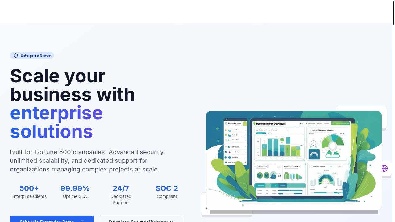 Homepage 5 - Enterprise Solutions Preview